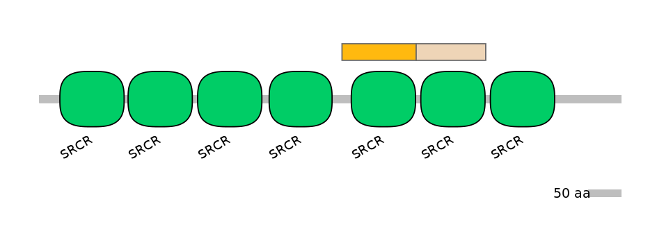 GgaINT0045275-EXC