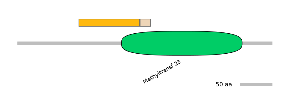 GgaINT0045324-EXC