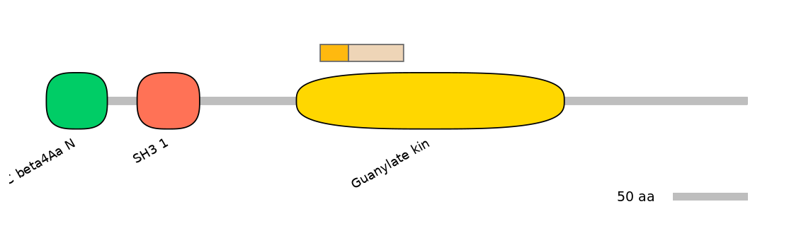 GgaINT0045681-EXC