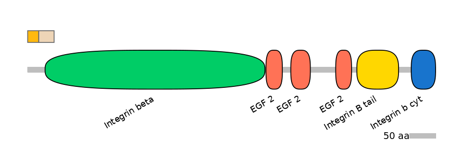 GgaINT0045902-EXC