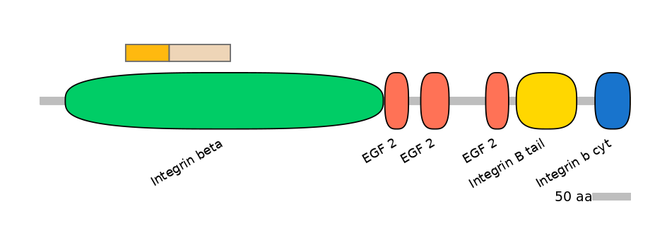 GgaINT0045905-EXC