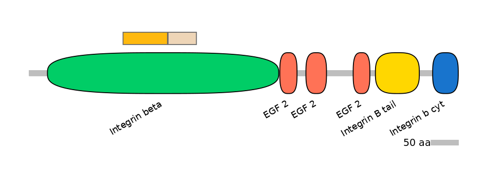 GgaINT0045906-EXC