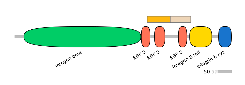 GgaINT0045912-EXC