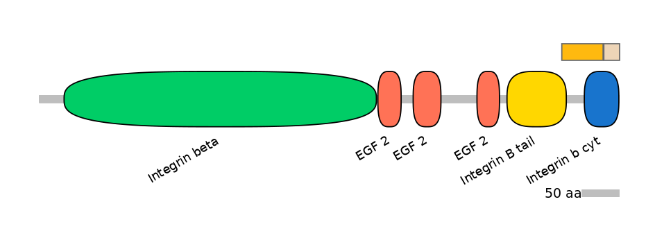 GgaINT0045915-EXC