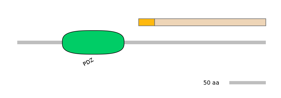 GgaINT0046070-EXC