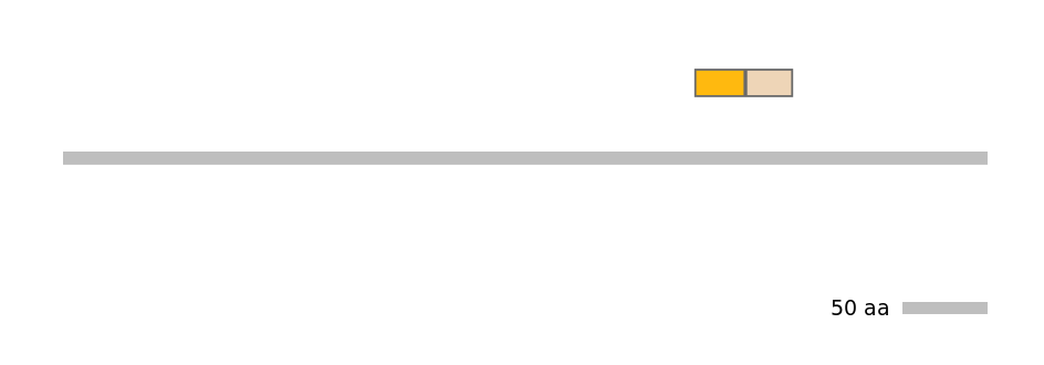 GgaINT0046081-EXC