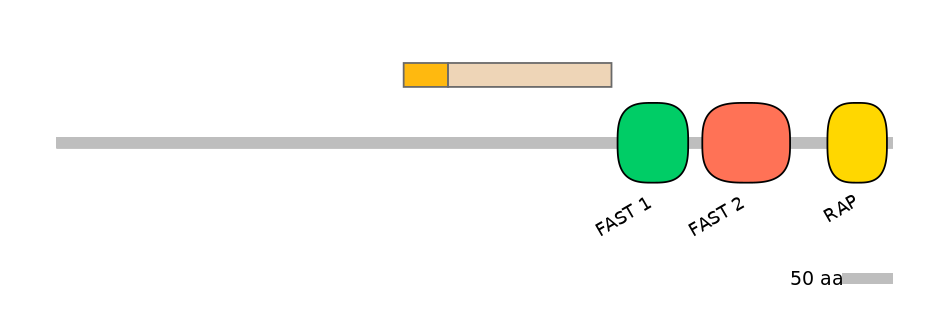 GgaINT0046202-EXC