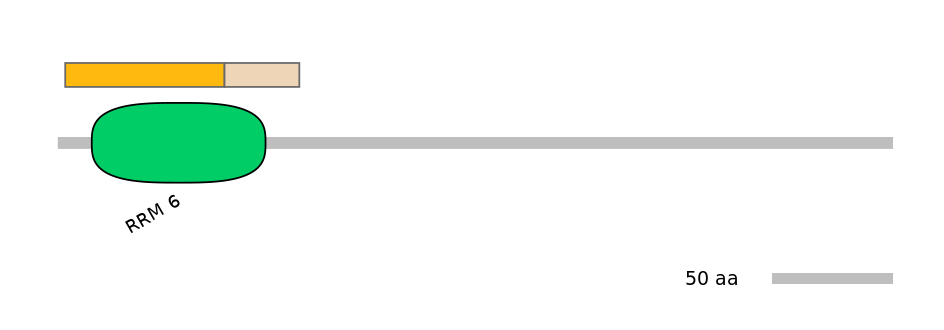 GgaINT0046606-EXC
