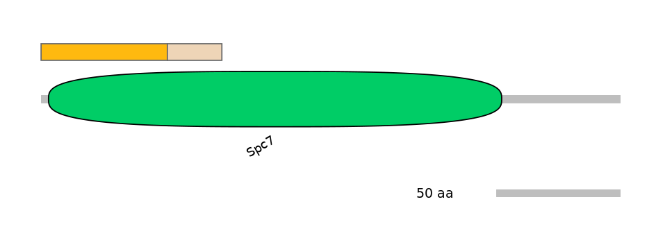 GgaINT0048895-EXC