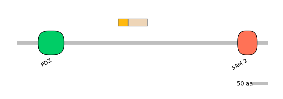 GgaINT0048960-EXC