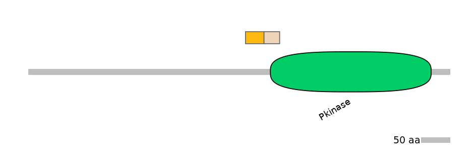 GgaINT0048983-EXC