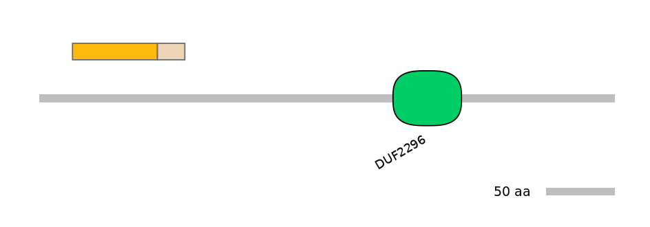 GgaINT0049398-EXC