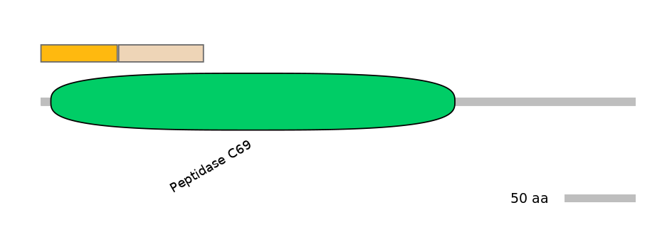GgaINT0049536-EXC