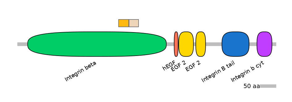 GgaINT0049598-EXC