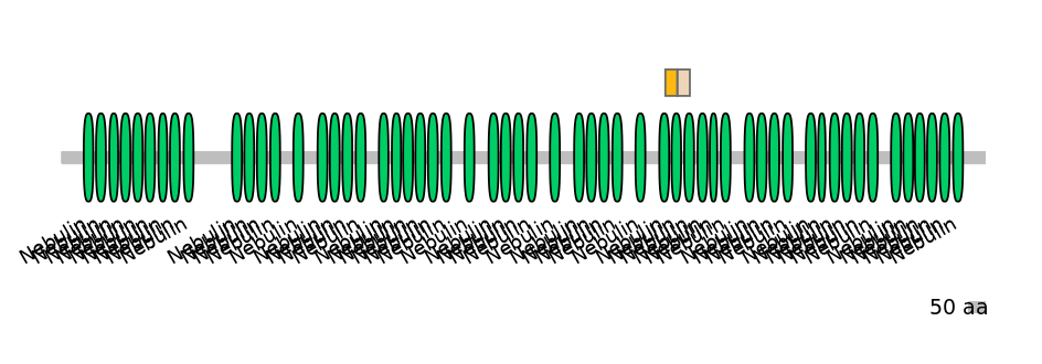 GgaINT0049729-EXC