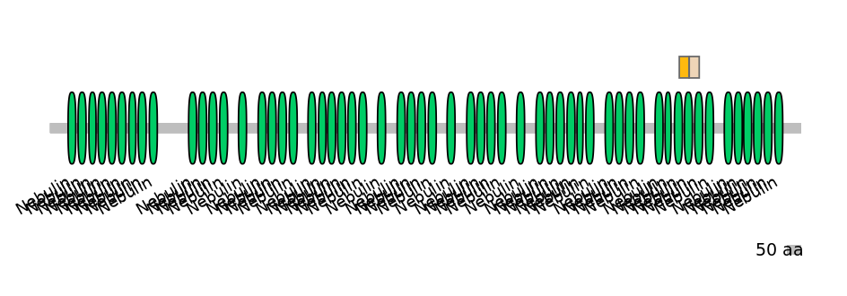 GgaINT0049741-EXC