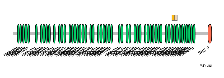 GgaINT0049814-EXC