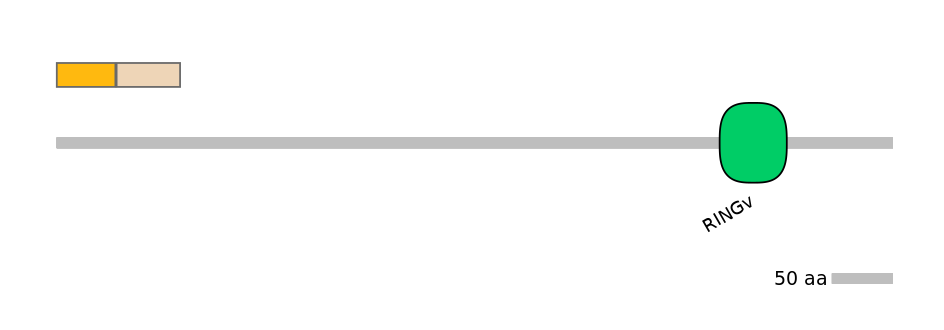 GgaINT0050121-EXC