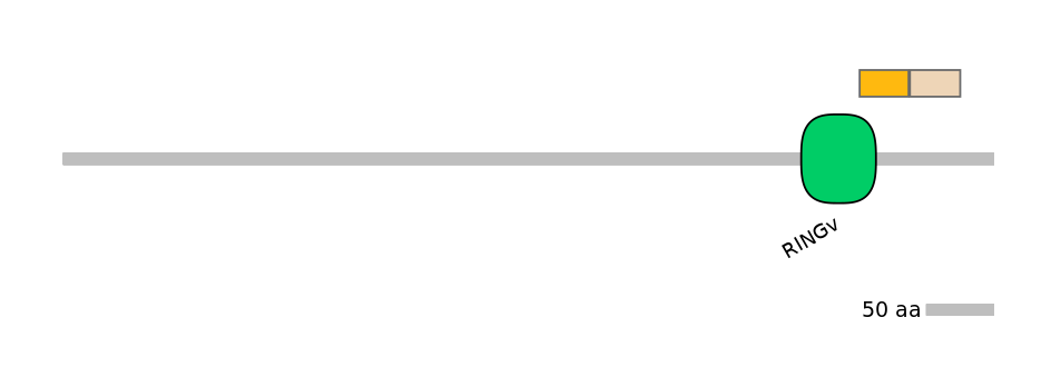 GgaINT0050126-EXC