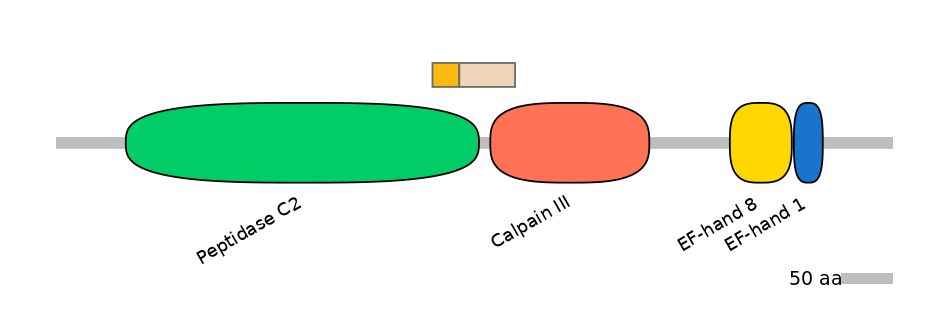 GgaINT0054920-EXC