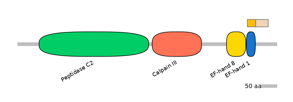GgaINT0054931-EXC
