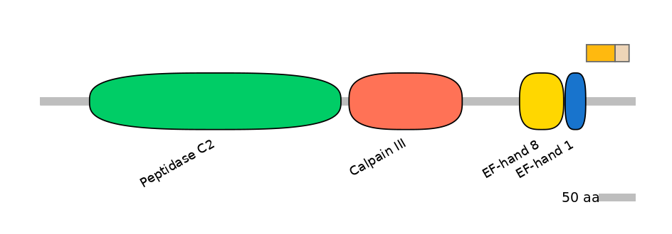 GgaINT0054932-EXC