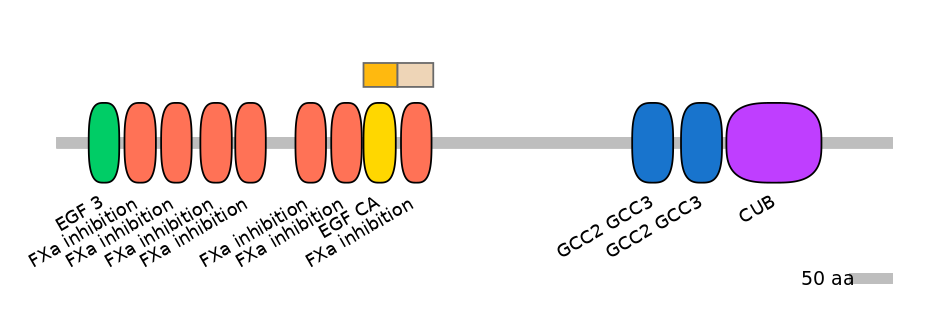 GgaINT0057960-EXC