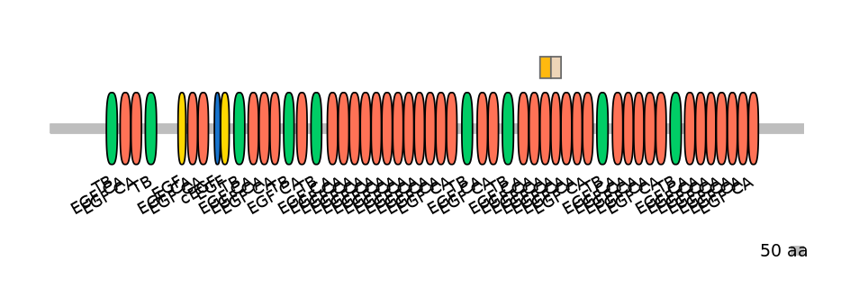GgaINT0062437-EXC