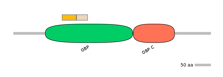 GgaINT0082219-EXC