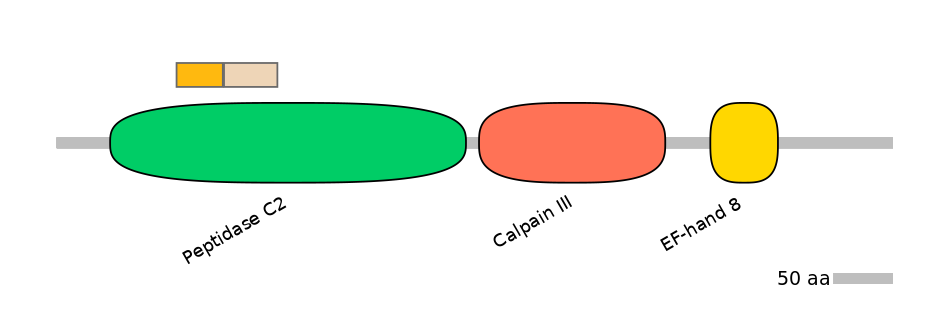 GgaINT0083302-EXC