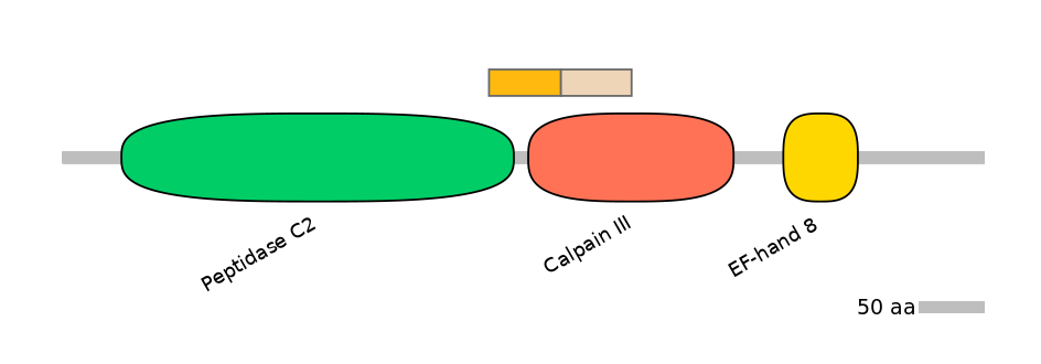 GgaINT0083308-EXC