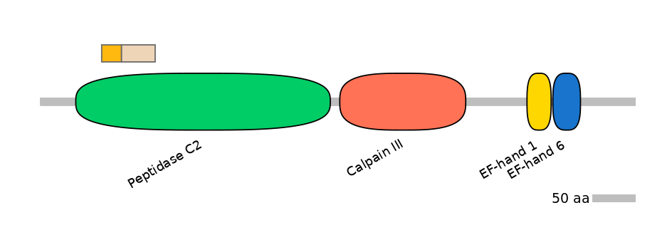 GgaINT0087003-EXC
