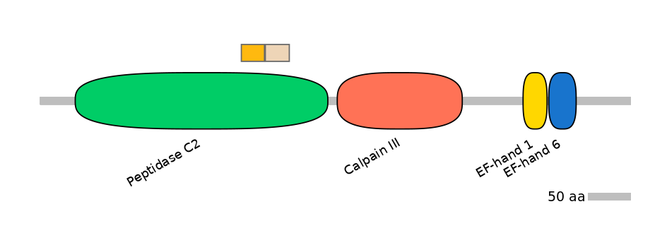 GgaINT0087007-EXC