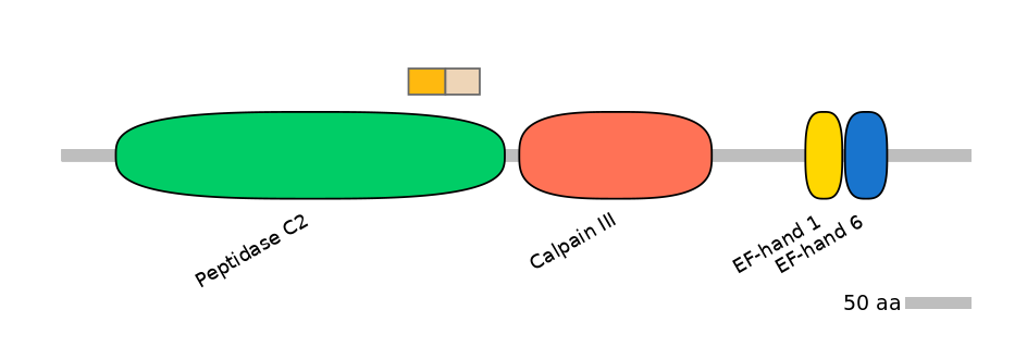 GgaINT0087008-EXC
