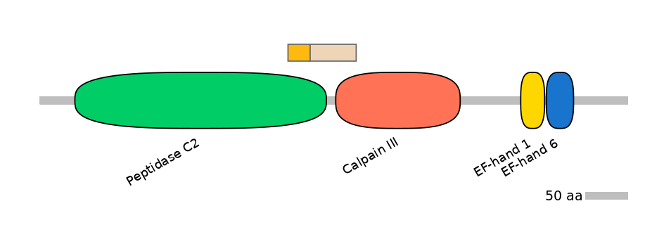GgaINT0087009-EXC