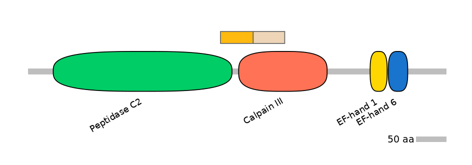 GgaINT0087010-EXC