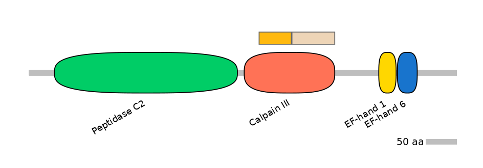 GgaINT0087011-EXC
