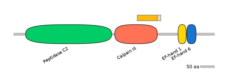 GgaINT0087012-EXC