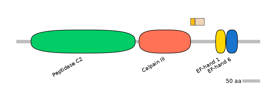GgaINT0087013-EXC