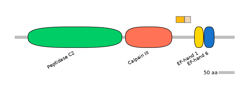 GgaINT0087014-EXC
