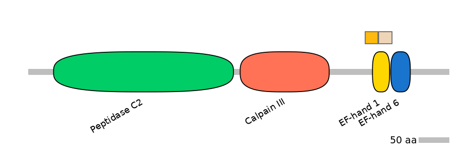 GgaINT0087016-EXC