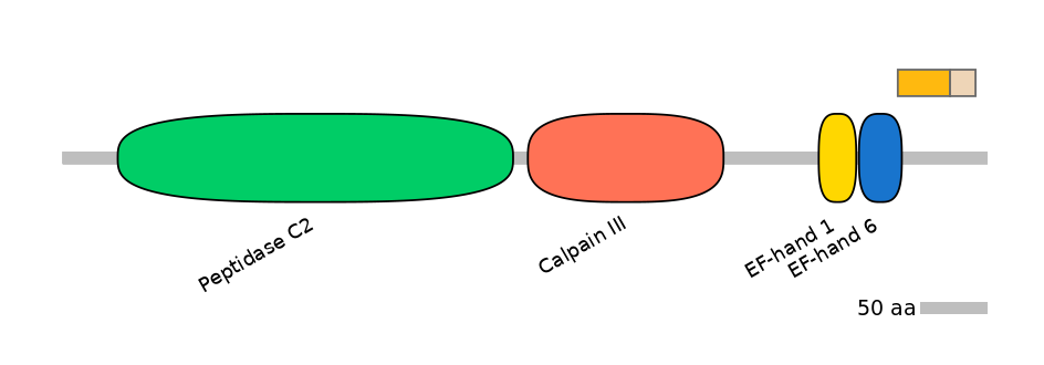 GgaINT0087019-EXC