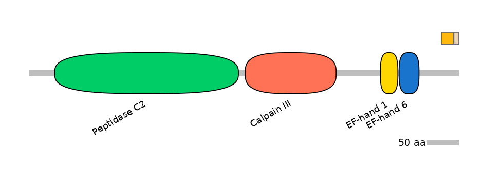 GgaINT0087020-EXC