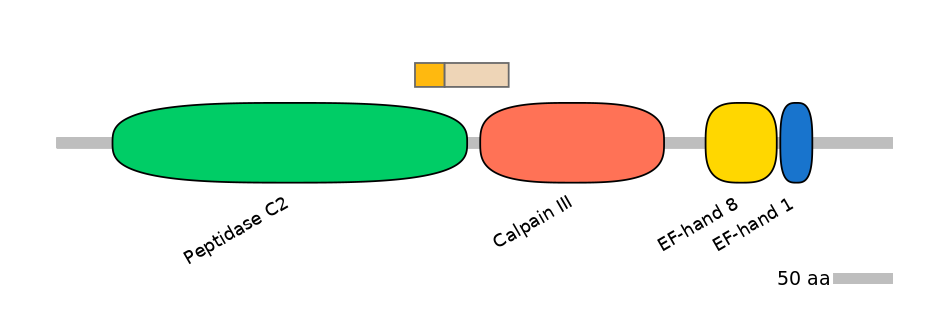 GgaINT0088801-EXC
