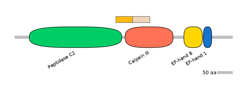 GgaINT0088802-EXC