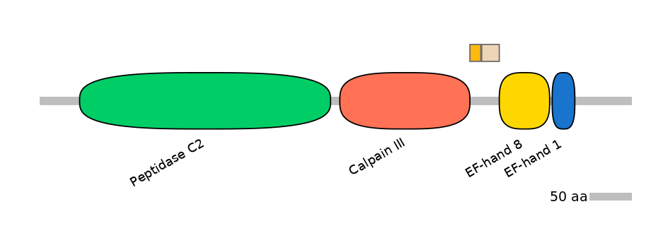 GgaINT0088806-EXC