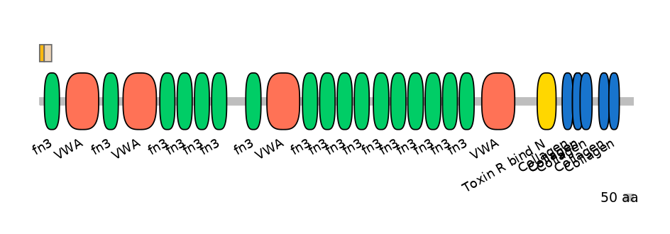 GgaINT0090069-EXC