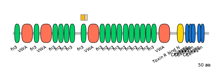 GgaINT0090083-EXC