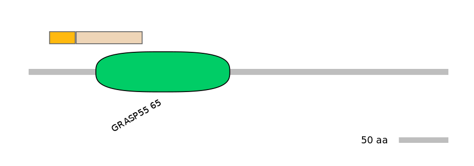 GgaINT0091016-EXC