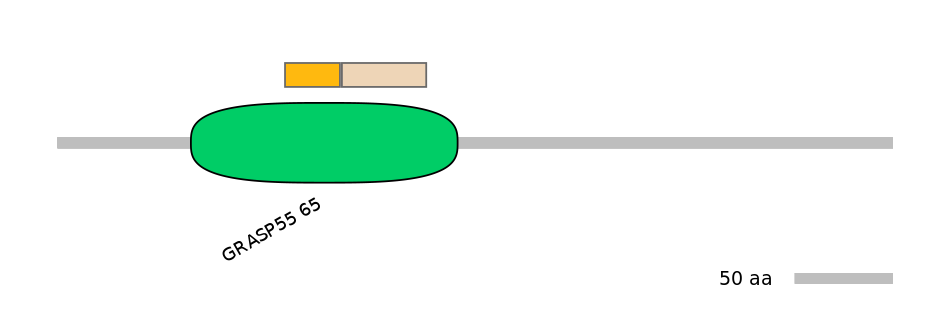 GgaINT0091018-EXC